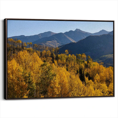 framed-canvas-dark-walnut