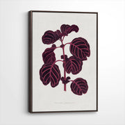 framed-canvas-dark-walnut