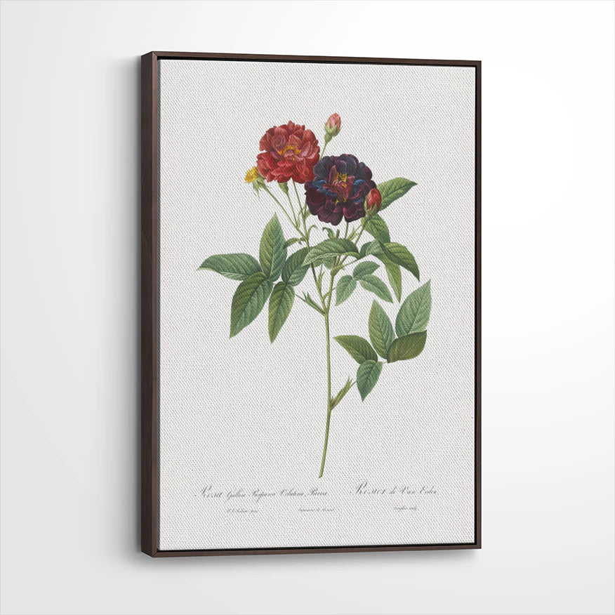 framed-canvas-dark-walnut