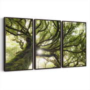 3-framed-print-dark-walnut