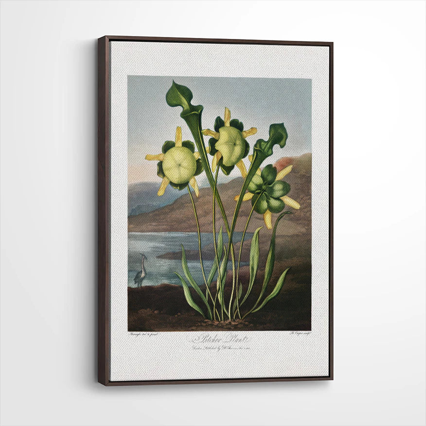 framed-canvas-dark-walnut