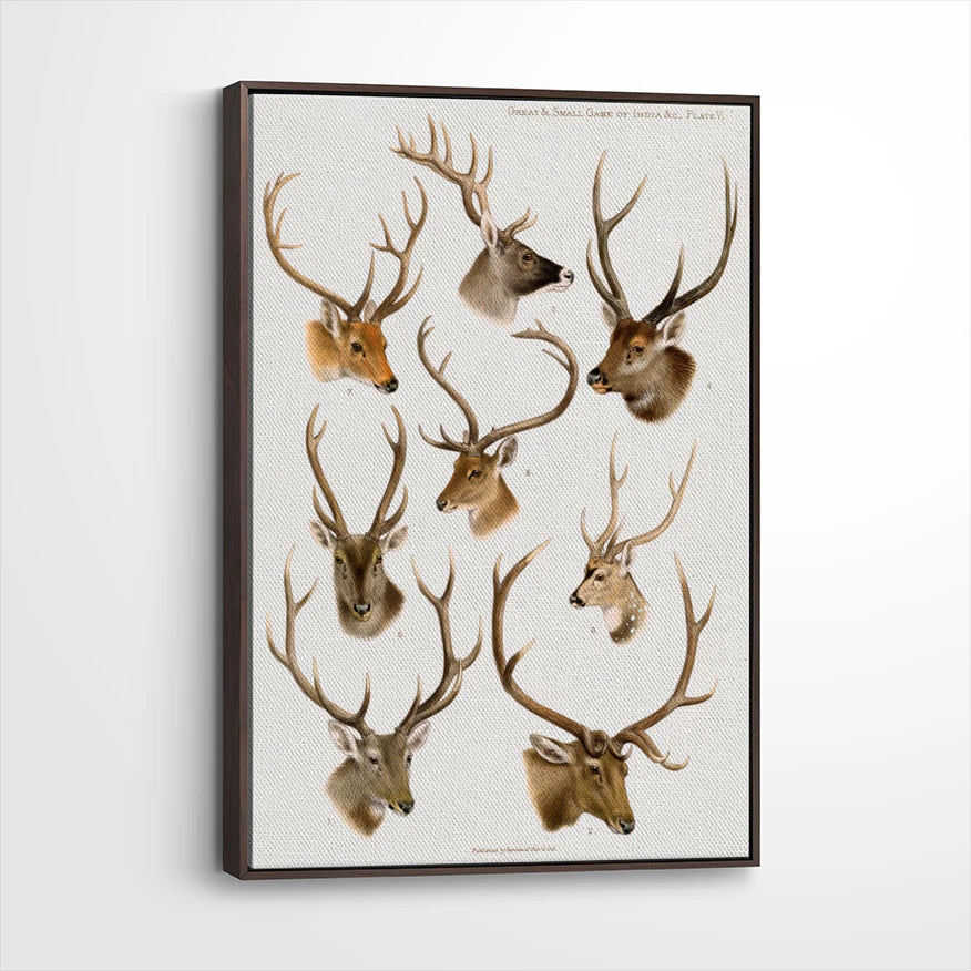 framed-canvas-dark-walnut