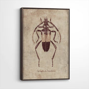 framed-canvas-dark-walnut