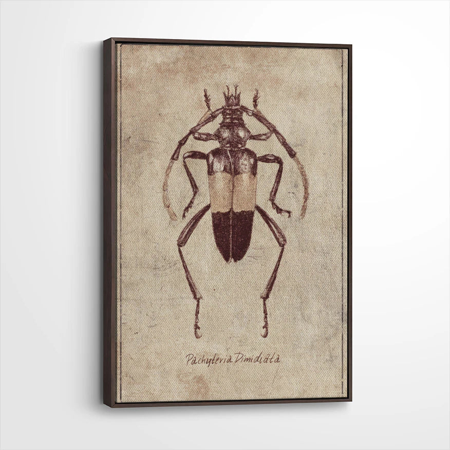 framed-canvas-dark-walnut