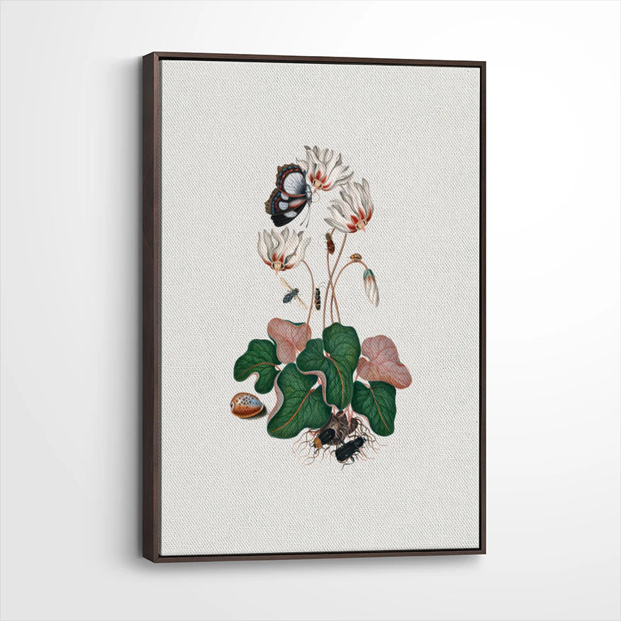 framed-canvas-dark-walnut