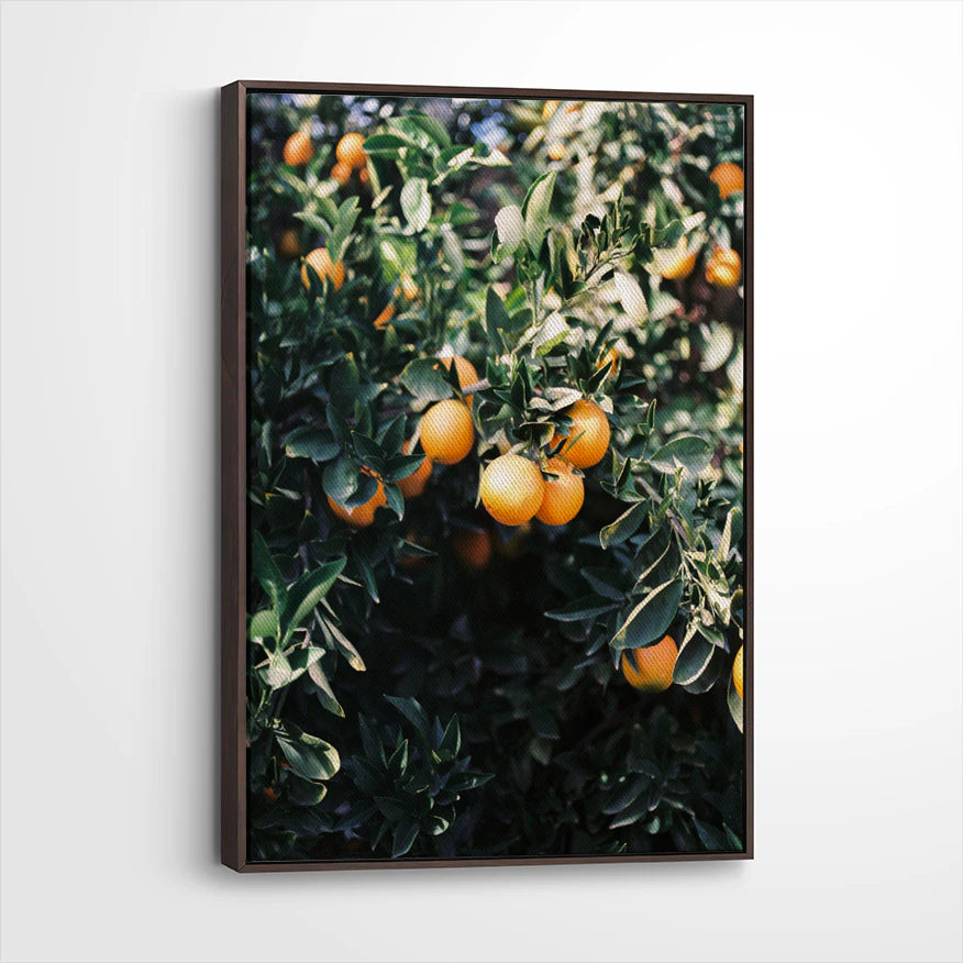 framed-canvas-dark-walnut