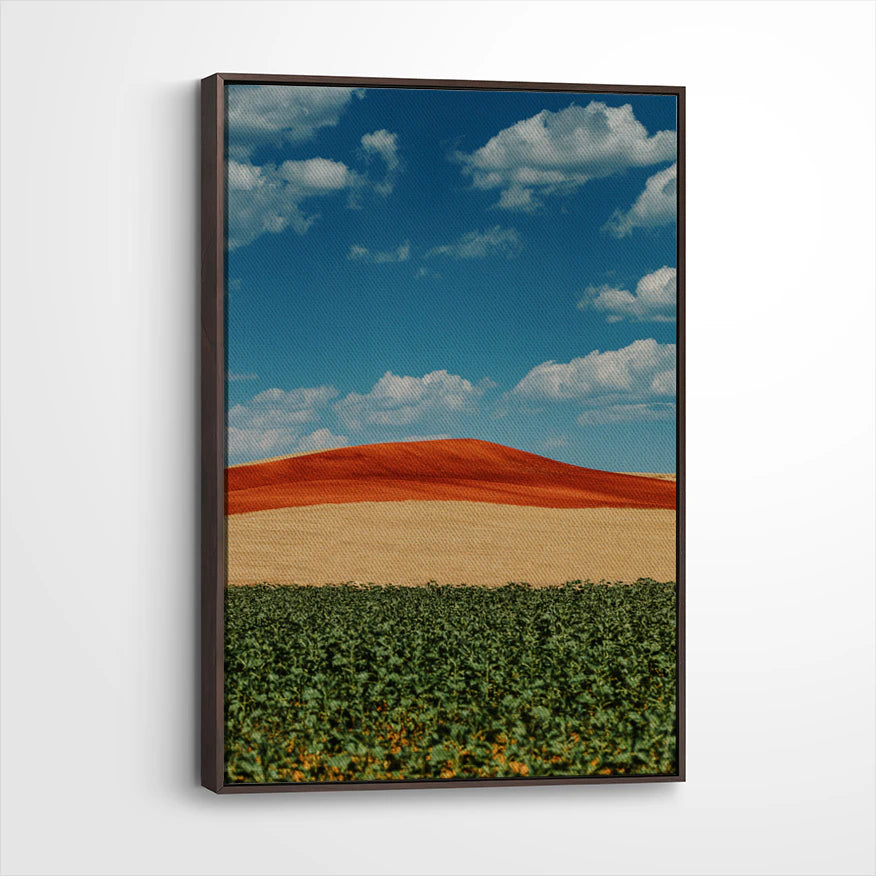 framed-canvas-dark-walnut