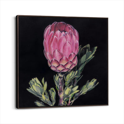 framed-canvas-dark-walnut