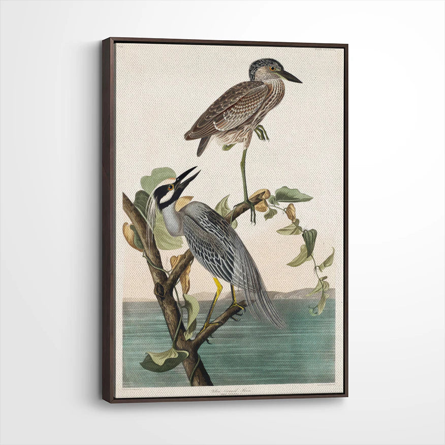framed-canvas-dark-walnut