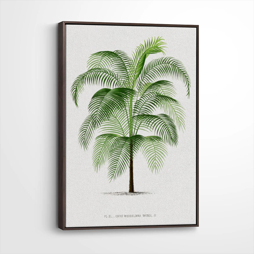 framed-canvas-dark-walnut