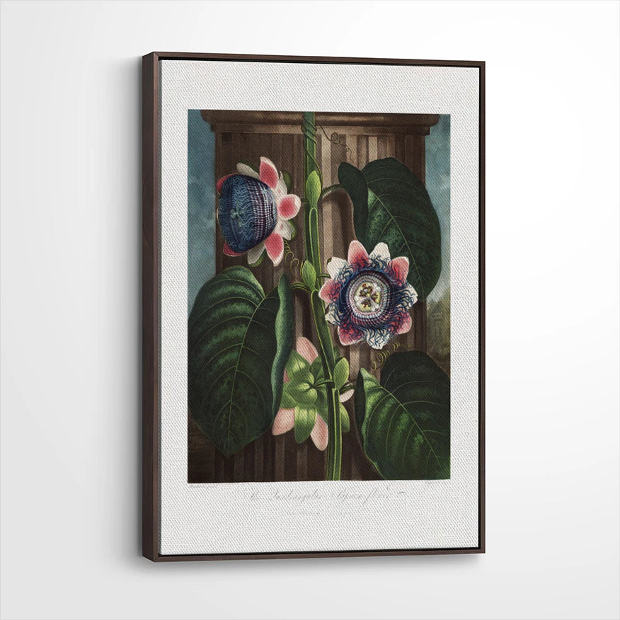 framed-canvas-dark-walnut