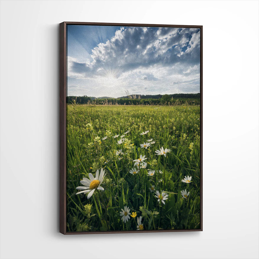 framed-canvas-dark-walnut