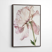 framed-canvas-dark-walnut