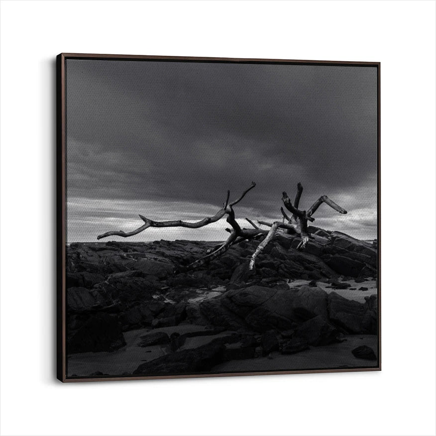 framed-canvas-dark-walnut