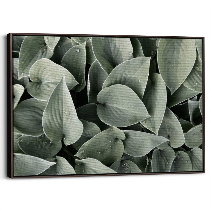 framed-canvas-dark-walnut