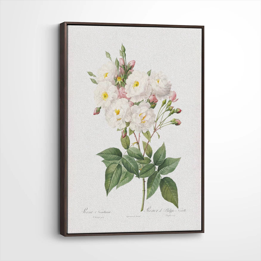framed-canvas-dark-walnut