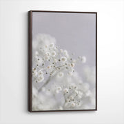 framed-canvas-dark-walnut