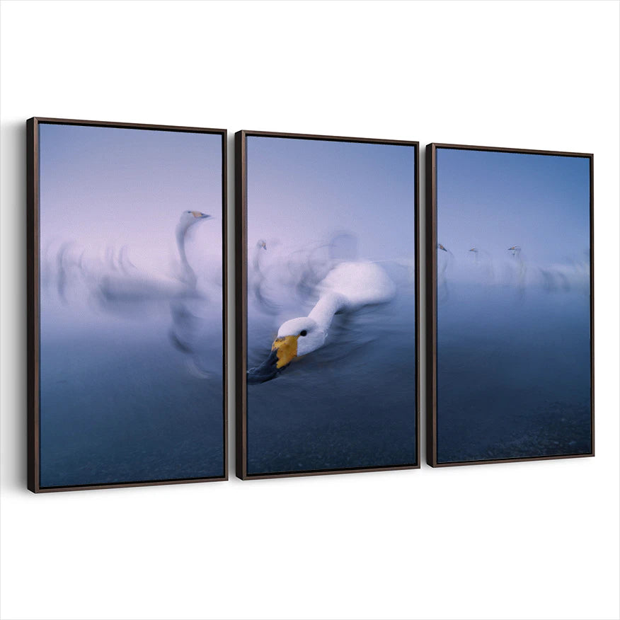 3-framed-print-dark-walnut
