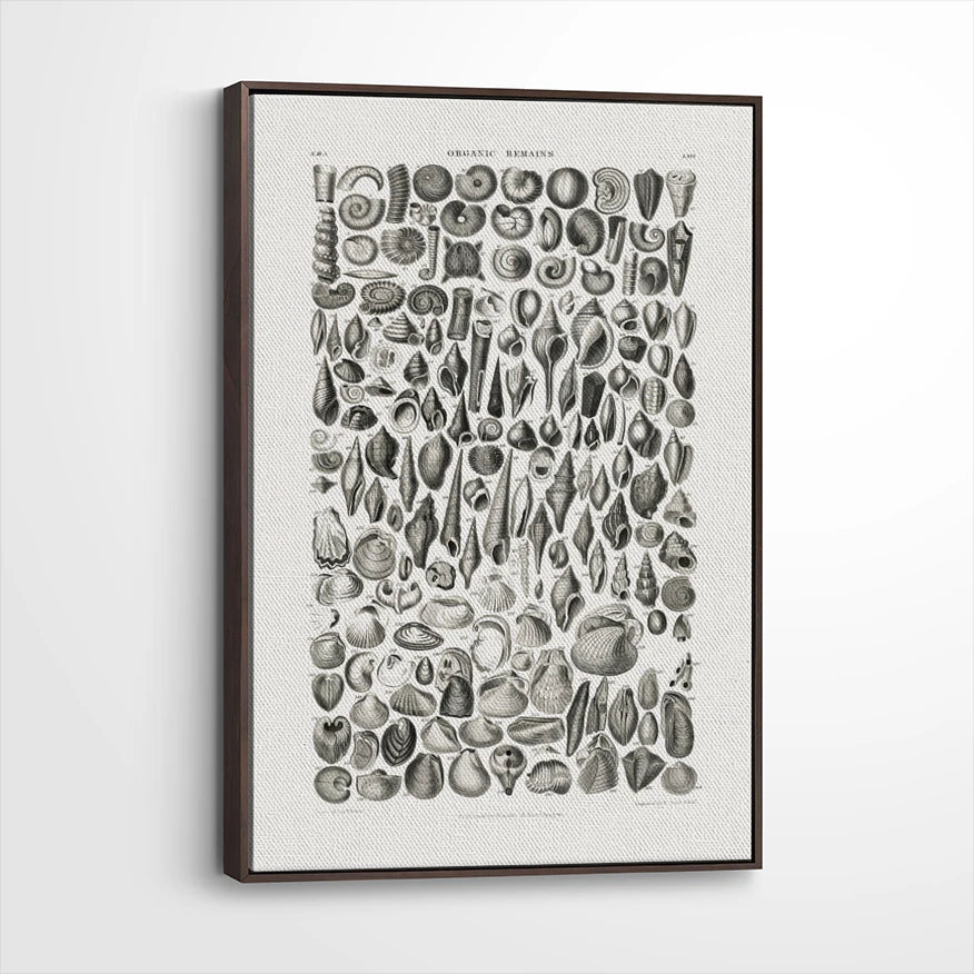 framed-canvas-dark-walnut