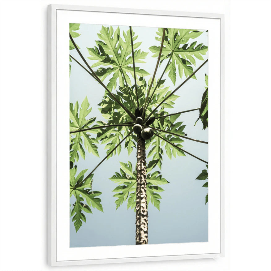 framed-print-white-matted