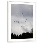 framed-print-white-matted