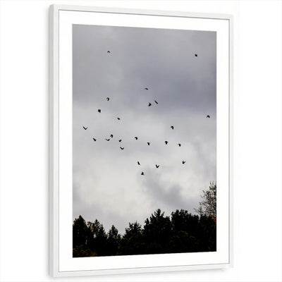 framed-print-white-matted