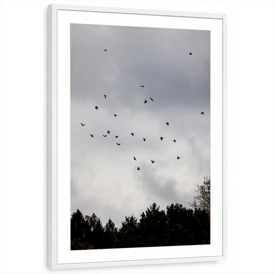 framed-print-white-matted