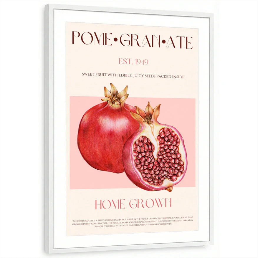 framed-print-white-matted