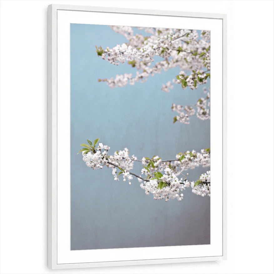 framed-print-white-matted