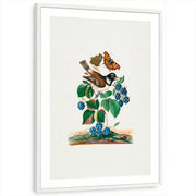 framed-print-white-matted