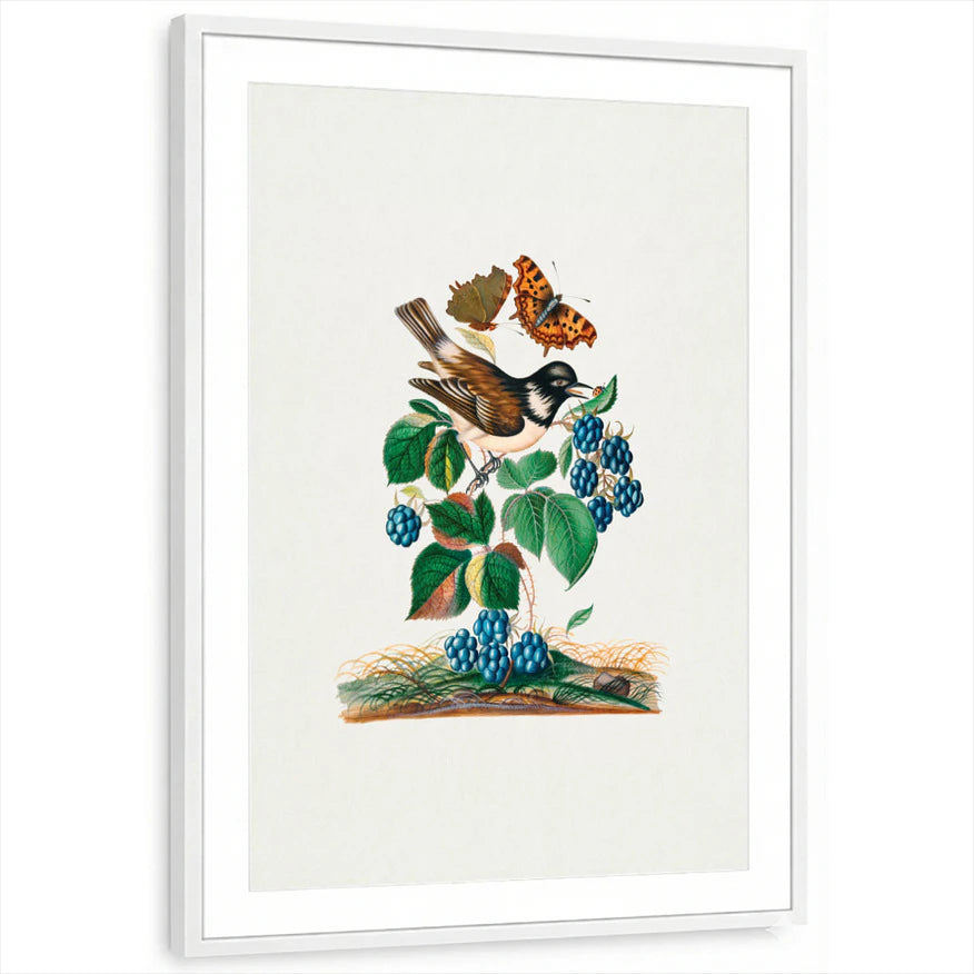 framed-print-white-matted
