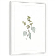 framed-print-white-matted