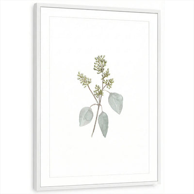 framed-print-white-matted