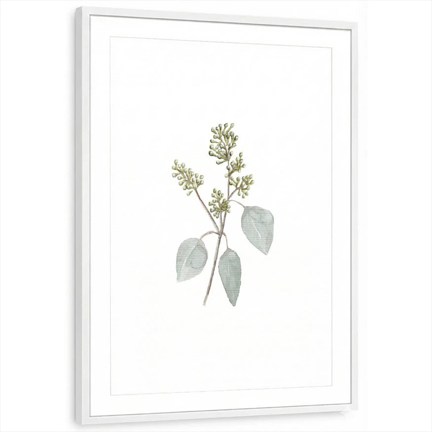 framed-print-white-matted