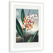 framed-print-white-matted