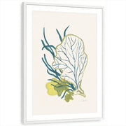 framed-print-white-matted