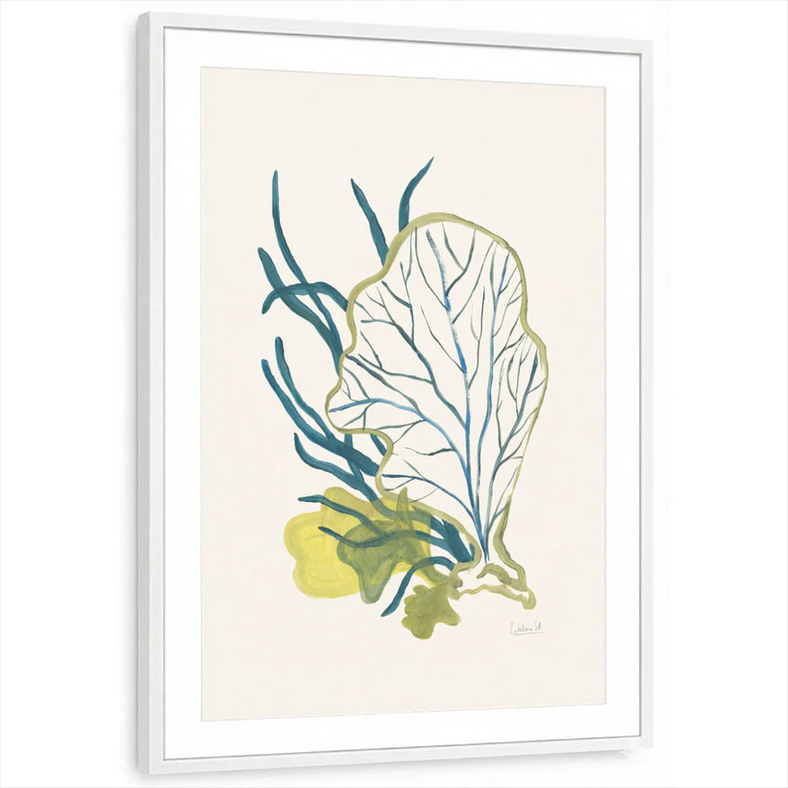 framed-print-white-matted