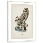 framed-print-white-matted