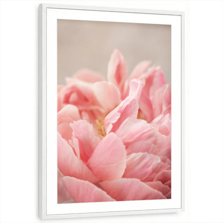framed-print-white-matted