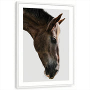 framed-print-white-matted