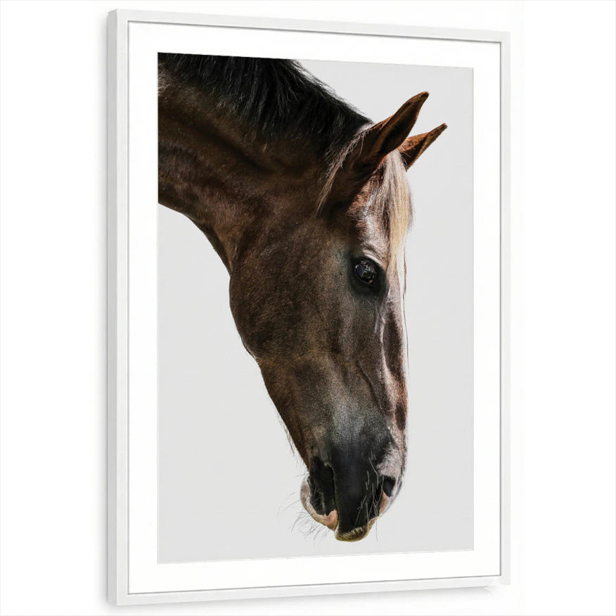 framed-print-white-matted
