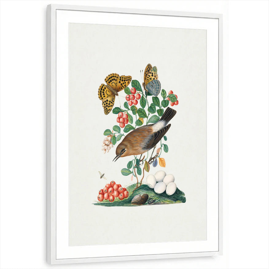 framed-print-white-matted