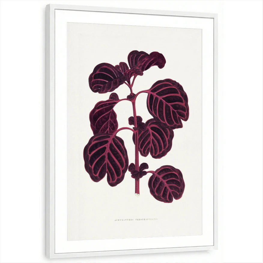 framed-print-white-matted