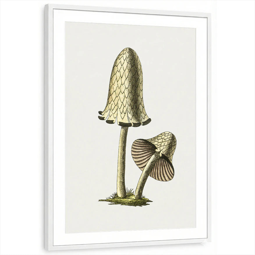 framed-print-white-matted