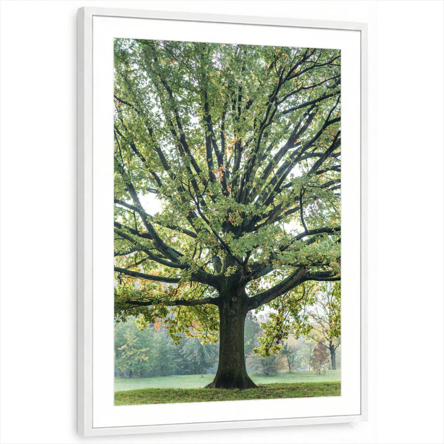 framed-print-white-matted