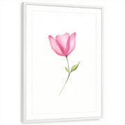 framed-print-white-matted