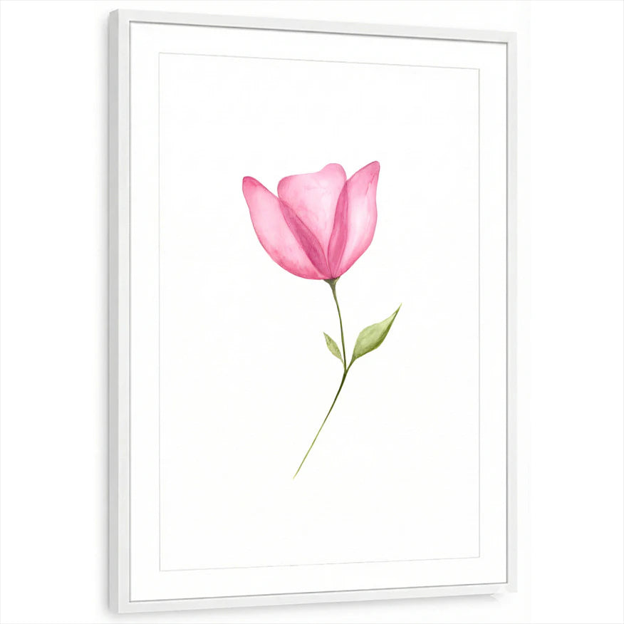 framed-print-white-matted
