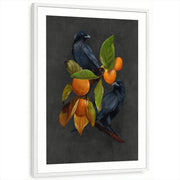 framed-print-white-matted
