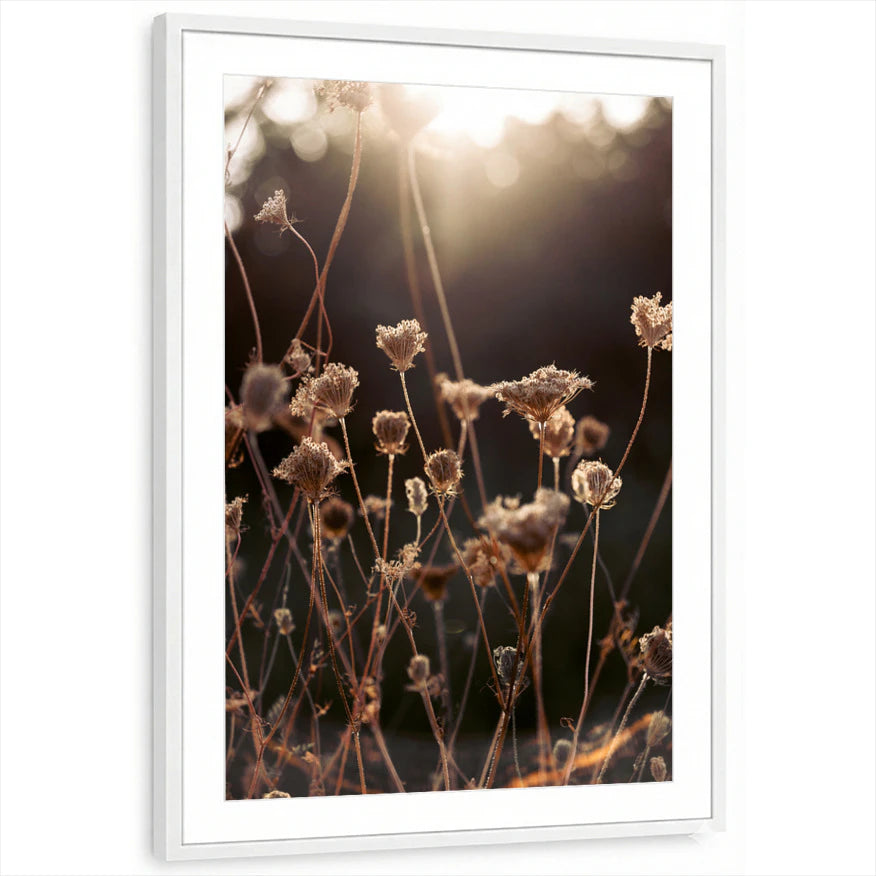 framed-print-white-matted