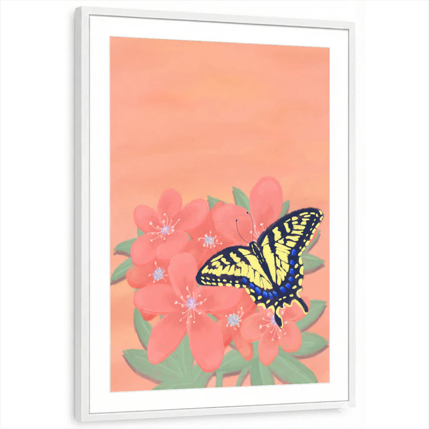 framed-print-white-matted
